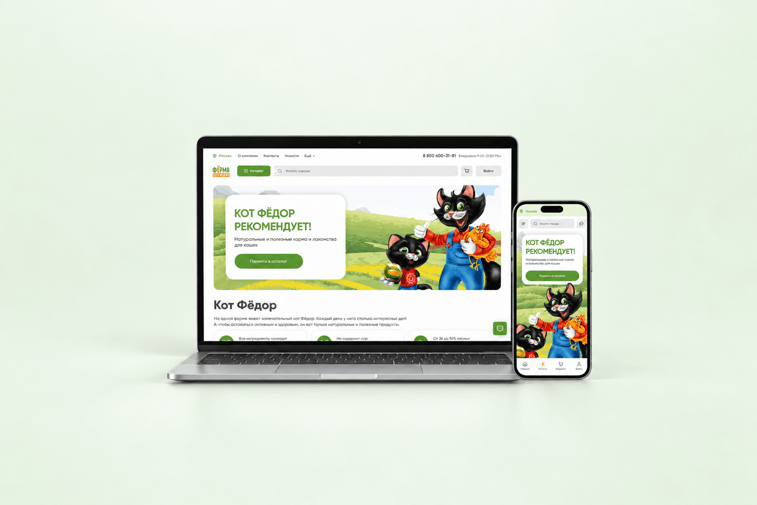 Online cat food store