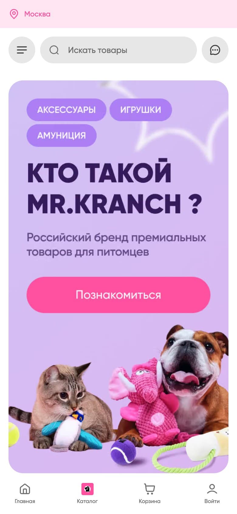 The mobile home page keeps the brand introduction and the links to the main sections